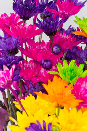 Arrangement of beautiful and colorful flowers; Bouquet made with different flowers.