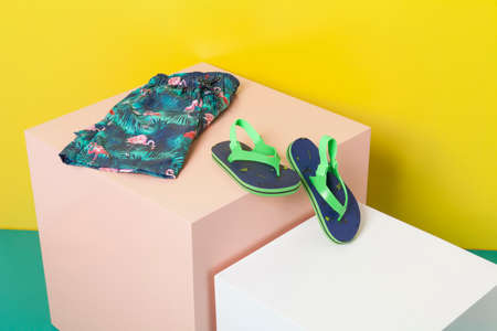 Fashion kids - Children swimwear, a shorts suit and flip flops.の写真素材