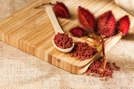 Bixa Orellana - Organic annatto; Is a seasoning and food coloring.の写真素材