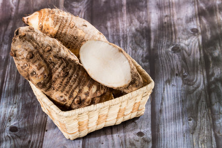 Malanga Edible Tuber - Root Of The Plant Called Colocasia Esculentaの素材 [FY310173616854]