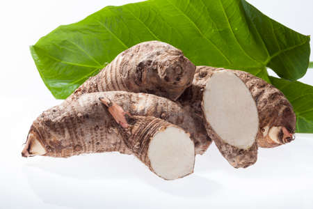 Malanga Edible Tuber - Root Of The Plant Called Colocasia Esculentaの写真素材