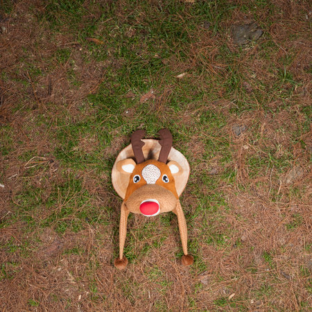 Christmas Decoration - Christmas Hat With Shaped Like Reindeerの写真素材
