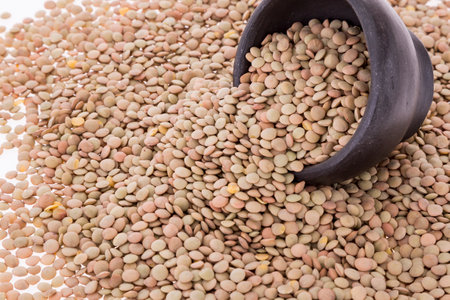 Lens Culinaris - Lentil Food With A High Concentration Of Nutrientsの写真素材
