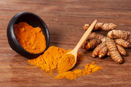 Fresh organic root and turmeric powder - Curcuma longaの写真素材