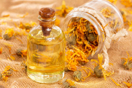 Calendula officinalis - Calendula Oil In A Glass Bottleの写真素材