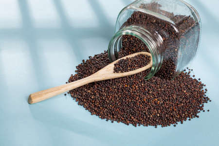 Brassica Nigra - Black Mustard Seeds Or Ajenabeの写真素材