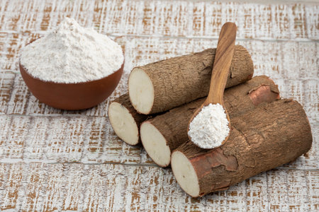 Cassava; Organic cassava starch Raw - Manihot esculentaの写真素材