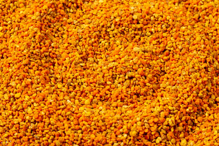 Bee Pollen Grains Natural And Healthy Food; Top View.の写真素材