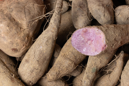 Dioscorea alata - violet yam; Piled in its natural state, showing its earthy skin and violet flesh.