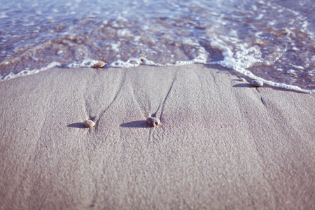 Sand and small rocks on the beach, near the waterの写真素材