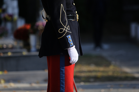 Details with the uniform of a French honor guard soldier attending an official ceremony in a veterans cemeteryの写真素材