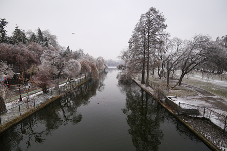 Frozen park during winter after a freezing rain weather phenomenonの写真素材