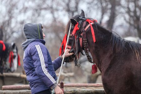 Pietrosani, Romania - January 6, 2019: Man handles an adorned horse before an Epiphany celebration horse race.のeditorial素材