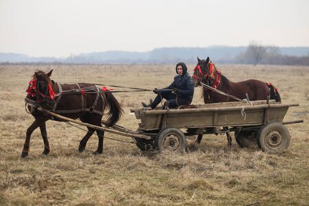 Pietrosani, Romania - January 6, 2019: Man drives a one horse wooden cart.のeditorial素材