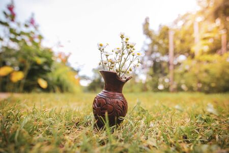 Shallow depth of field image with white wild flowers in a broken clay pot laid on the grassの写真素材