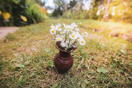 Shallow depth of field image with white wild flowers in a broken clay pot laid on the grassの写真素材