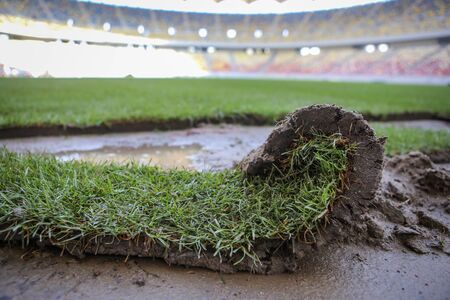 Details with the freshly installed and trimmed new turf on a soccer stadiumの写真素材