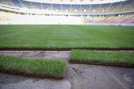 Details with the freshly installed and trimmed new turf on a soccer stadiumの写真素材