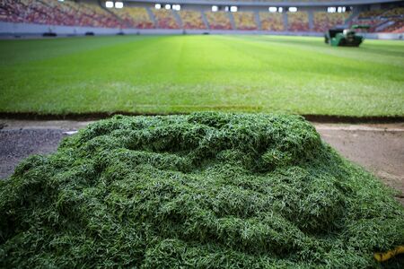 Details with the freshly installed and trimmed new turf on a soccer stadiumの写真素材
