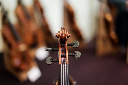 Details with the scroll, peg box, tuning pegs, strings, neck and fingerboard of a violin before a...