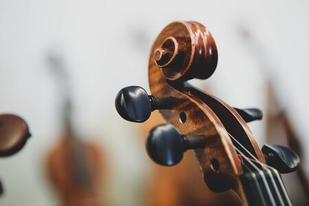 Details with the scroll, peg box, tuning pegs, strings, neck and fingerboard of a violin before a...