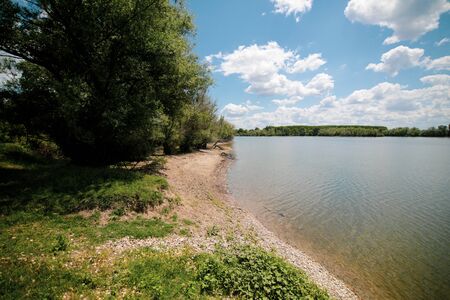 Landscape with forest and running water near the Danube River.