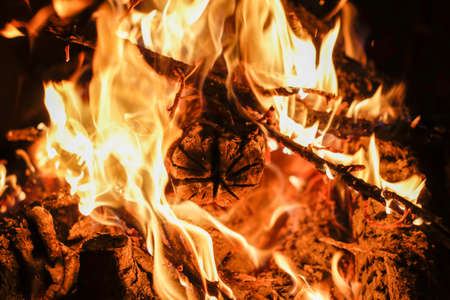 Details of a wood fire in a red brick fireplace dug in the ground