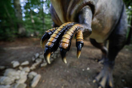 Rasnov, Romania - October 3, 2020: Details with the claws of a dinosaur model at an outdoors dino park in Romania.のeditorial素材