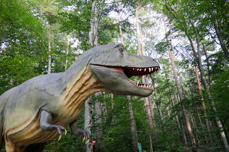 Rasnov, Romania - October 3, 2020: Tyrannosaurus rex model at an outdoors dino park in Romania.のeditorial素材
