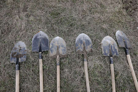 Shallow depth of field (selective focus) details of dirty shovels during a tree plantation.の写真素材