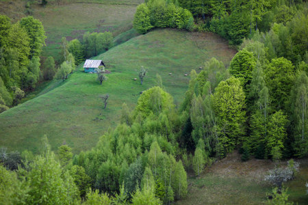 Sheepfold on the hills and forests in Transylvania, Romania.