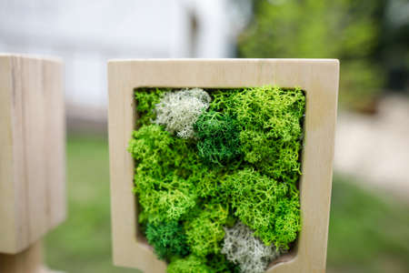 Shallow depth of field (selective focus) image with stabilized moss and lichen used in architecture.の写真素材