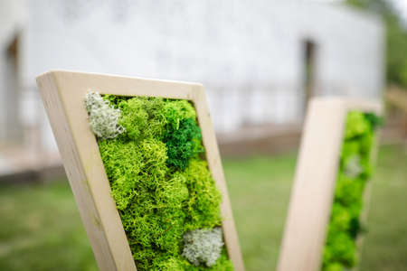 Shallow depth of field (selective focus) image with stabilized moss and lichen used in architecture.の写真素材