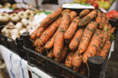 Shallow depth of field (selective focus) image with organic fresh carrots covered in soil for sale in an outdoors market in Bucharest, Romania.の写真素材