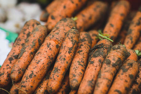Shallow depth of field (selective focus) image with organic fresh carrots covered in soil for sale in an outdoors market in Bucharest, Romania.の写真素材