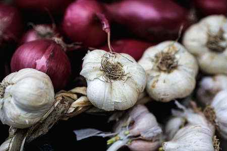Shallow depth of field (selective focus) image with organic fresh garlic for sale in an outdoors...