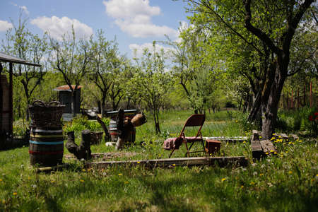 Green scenery in rural Romania during a sunny summer day.の写真素材