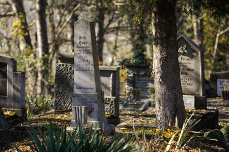 Sighisoara, Romania - 30 October 2021: Details with tombs, tombstones and vegetation from the old saxon cemetery in the medieval citadel and full of winding paths and ivy-covered graves.のeditorial素材