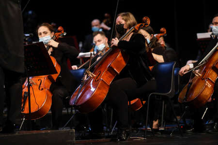 Bucharest, Romania - January 15, 2022: Members of a classical music orchestra perform during an event.のeditorial素材