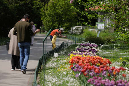 Bucharest, Romania - May 1, 2022: Botanical garden of Bucharest on a sunny spring day.のeditorial素材