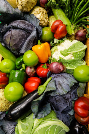 Details with colourful Romanian organic autumn crop vegetables in a wooden basket: onions, bell peppers, cauliflower, salads, eggplants, celery.の写真素材