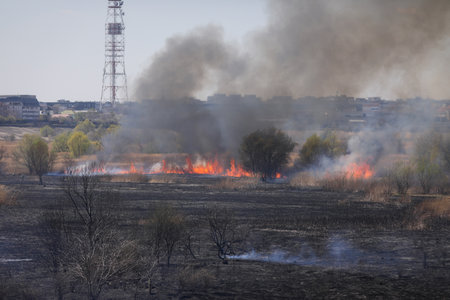 Bucharest, Romania - April 5, 2022: Wildfire of vegetation in the Vacaresti park nature reservのeditorial素材