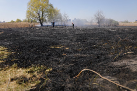 Bucharest, Romania - April 5, 2022: Firefighters try to extinguish a wildfire of vegetation in the Vacaresti park nature reserve.のeditorial素材