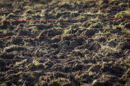 Shallow depth of field (selective focus) details with tillage land during a tree planting activity...