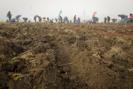 Shallow depth of field (selective focus) details with tillage land during a tree planting activity...