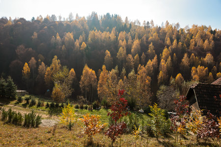 Scenic autumn overview of Magura village in Romania, near the Piatra Craiului mountains.の写真素材