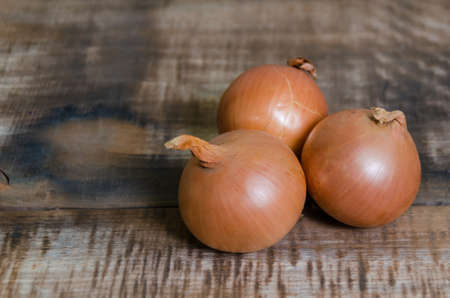 groupe of onionsの写真素材