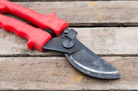 pruner
