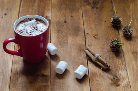 cup of hot chocolate with cinnamon and marshmallows on wooden backgroundの写真素材