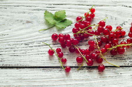 Fresh red currants on white rustic wooden background.の写真素材